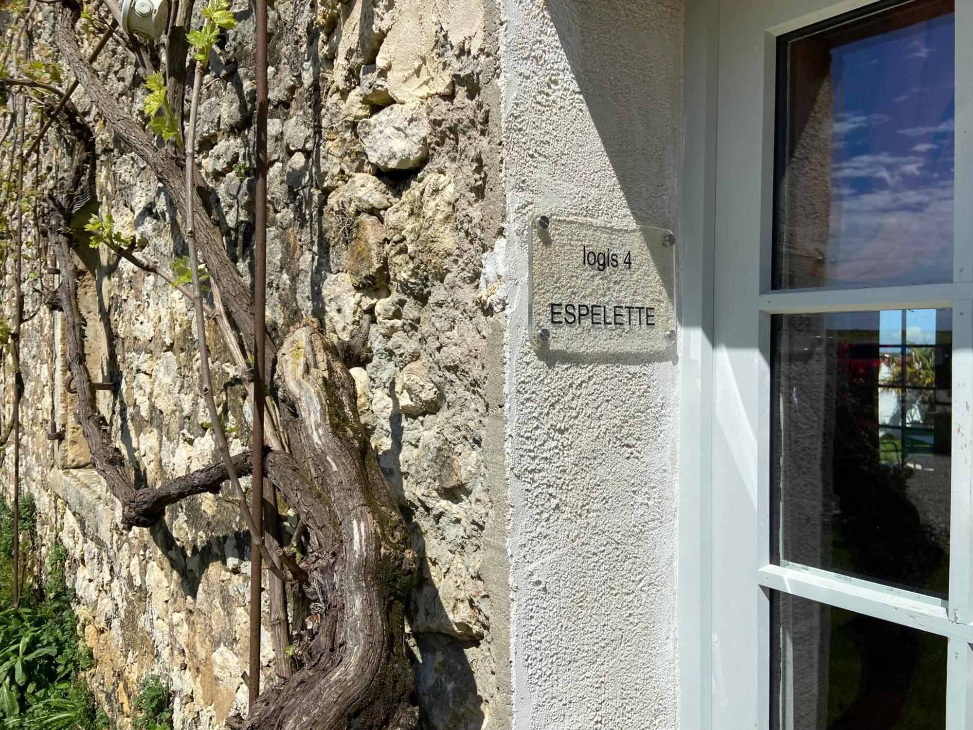 Chateau De Feusse Saint-Just-Luzac Exterior foto